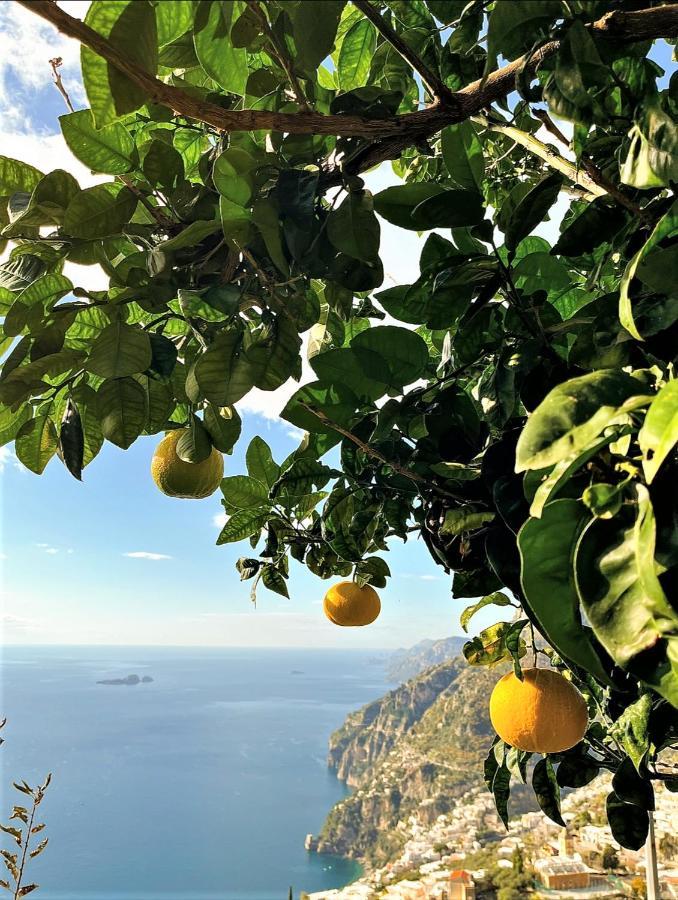 Bed and Breakfast Colle Dell'Ara Positano Exterior foto
