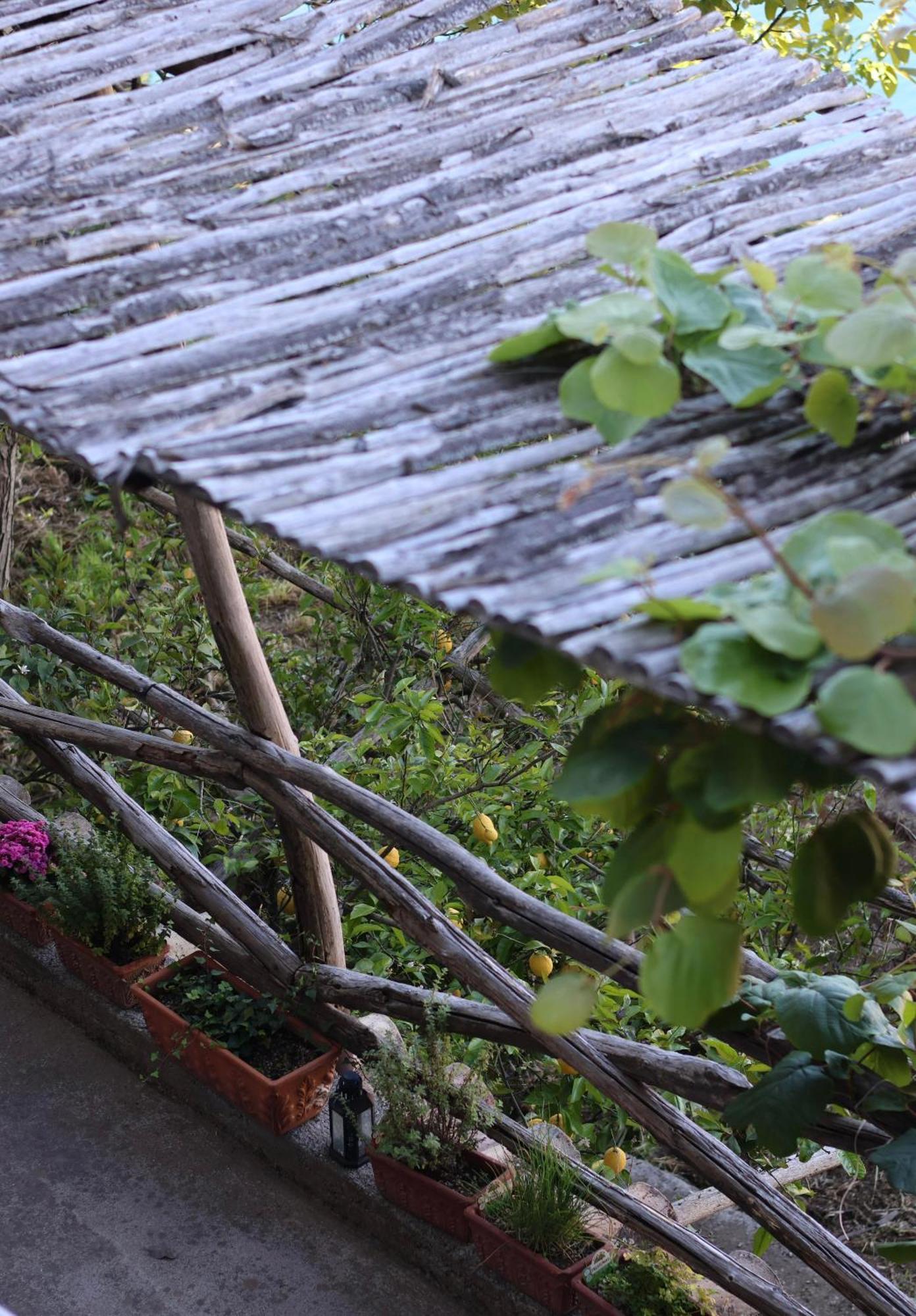 Bed and Breakfast Colle Dell'Ara Positano Exterior foto